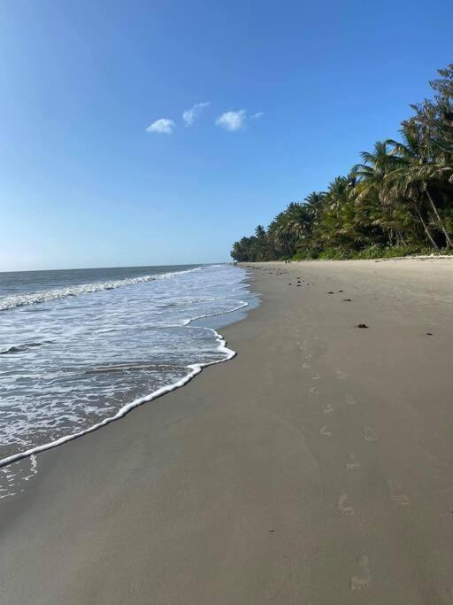 Beautiful Large Home Available In Tropical North Queensland Port Douglas Exterior foto